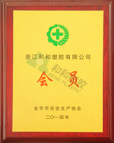 Member of the Safety Production Association